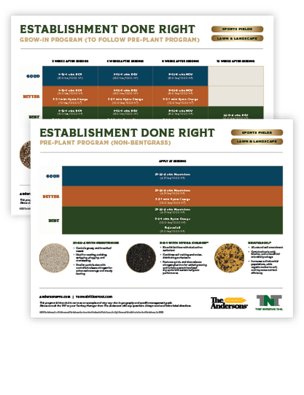 aerification guide