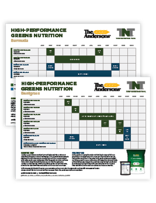 aerification guide