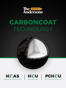 catalog